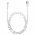 Cablu original Apple Lightning MXLY2ZM/A - iPhone, iPad, iPod - 1m