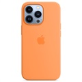 Husă Silicon iPhone 13 Pro cu MagSafe - Apple MM2D3ZM/A