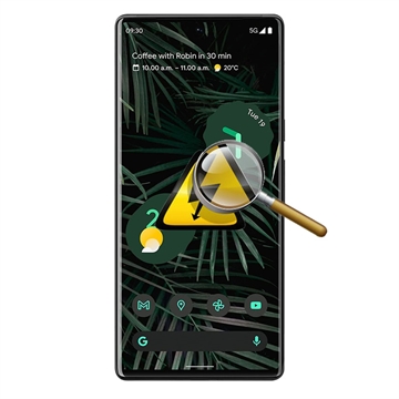 Diagnoză Google Pixel 6 Pro