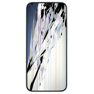 Reparație LCD Și Touchscreen Honor 200 Lite