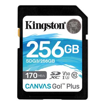 Kingston Canvas Go! Plus microSDXC Card de memorie SDG3/256GB