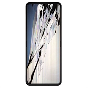 Reparație LCD Și Touchscreen Motorola Razr 50 Ultra