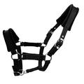 Halter căptușit pentru cai 25mm - Dimensiune M - Negru
