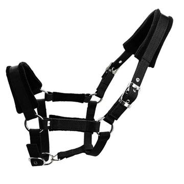 Halter căptușit pentru cai 25mm - Dimensiune M - Negru