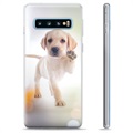 Husă TPU - Samsung Galaxie S10+ - Câine