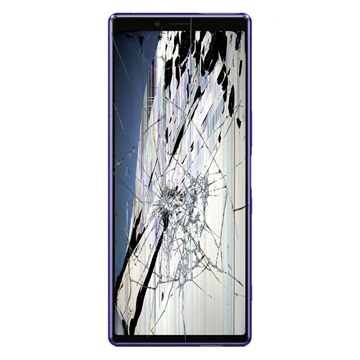 Reparație LCD Și Touchscreen Sony Xperia 1