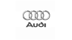 Platformă de montaj Audi