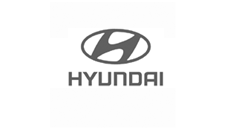 Platformă de montaj Hyundai