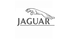 Platformă de montaj Jaguar