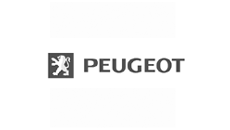 Platformă de montaj Peugeot