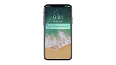 Schimbare display iPhone X