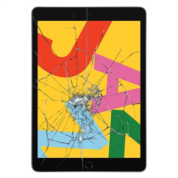 Reparație Geam Cu Touchscreen iPad 10.2 (2019)