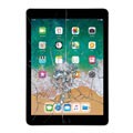 Reparație Geam Cu Touchscreen iPad 9.7 (2018) - Negru