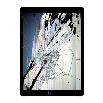 Reparație LCD Și Touchscreen iPad Pro 12.9 - Negru - Calitate Originală