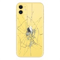 iPhone 11 Back Cover Repair - Glass Only - Yellow
