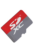 Card SDXC