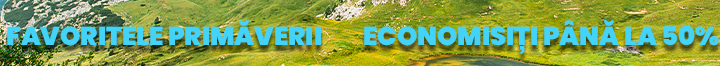 mobileSaleBanner